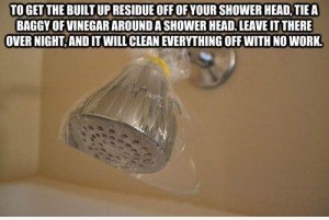 How to clean to clean of a shower head