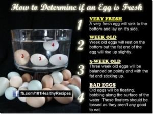How to scrutinize eggs